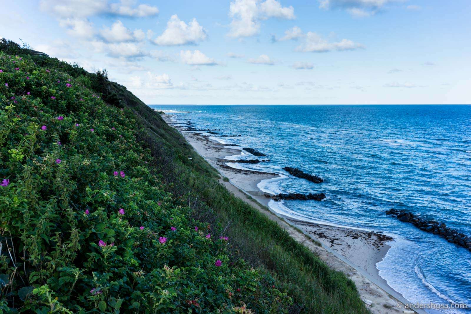 Coast Road to North Zealand