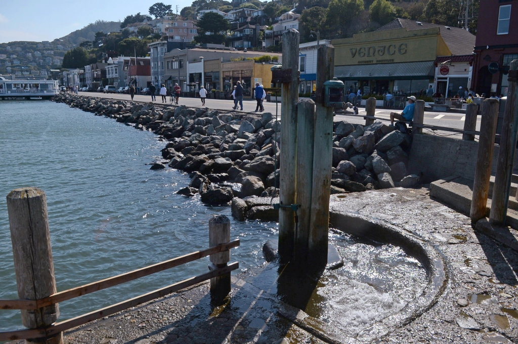 Sausalito-0921-02-1